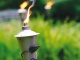 Череда дымящихся факелов вдоль аллей – настоящая роскошь (Фото: АРТ-Флора, ROBERTS)