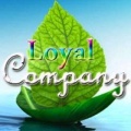 Loyal Company Товары детской безопасности