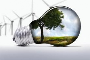 В Прикарпатье будут производить «зеленую энергию»