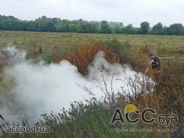 Площадь тлеющих торфяников становится меньше