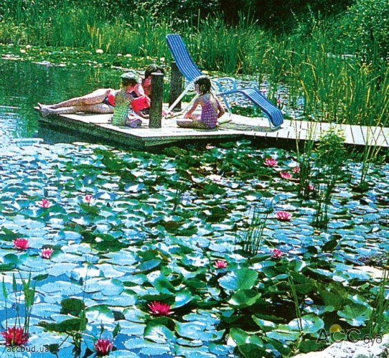 Экобассейн: и декорация, и отдых (Фото: Wolfram Franke. Piscines ecologiques - Munchen, 2004)