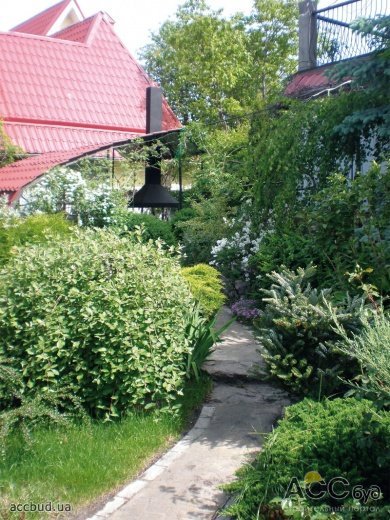 Далее будет показано сравнение участков сада летом и зимой. Сад летом (Фото: Елена Гнездилова)