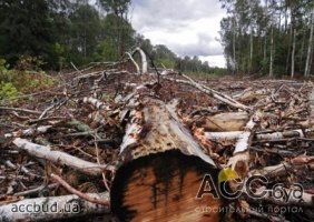 В столичном парке незаконно вырубили деревья