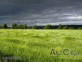Рост цен на землю в 40 раз