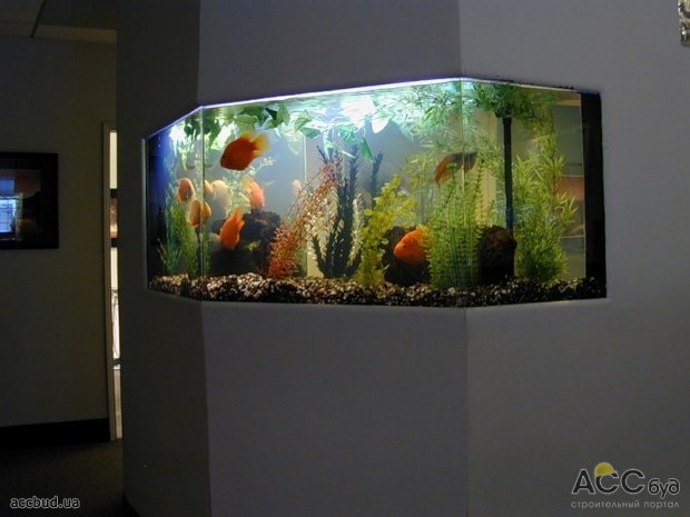 аквариумы в интерьере