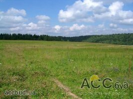 1730 земельных участков продано в Киевской области