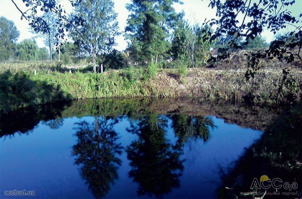 Растения для такого водоема должны выдерживать и затопление и засуху (в зависимости от колебания уровня грунтовых вод)