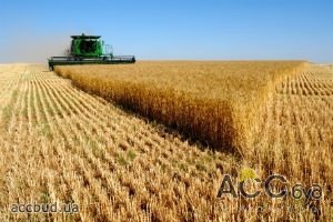 В прошлом году Украина почти на 14% увеличила сельскохозяйственное производство