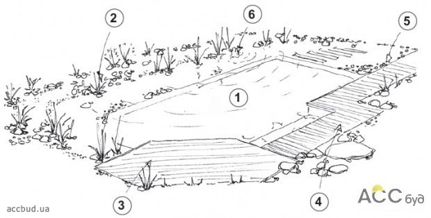 Схема экобассейна: 1. Бассейн; 2. Водные растения; 3. Деревянная терраса; 4. Деревянний проход; 5. Галька; 6. Водопад с насыщенной кислородом водой (Схема: ДМВ)