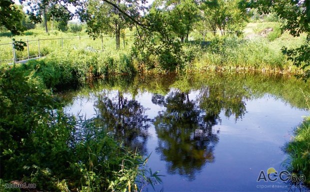 Водоем — один из самых живописных и изысканных элементов ландшафтного дизайна.