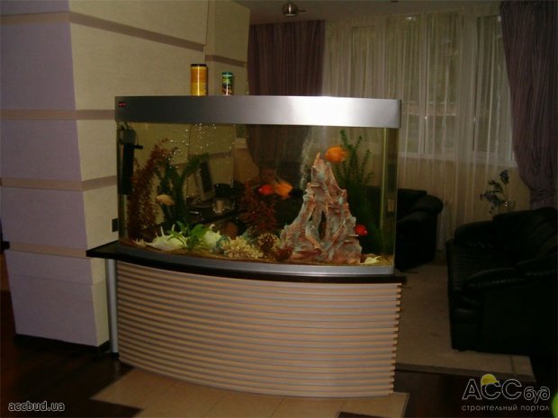 аквариум как элемент дизайна