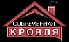 Современная кровля