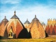 Куполообразная конструкция (Фото: TEGOLA) (Куполообразная крыша фото)