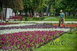 Украинские города украшают цветами