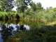Такое прекрасное природное, хоть и рукотворное озеро— отличное решение для сада в пейзажном стиле