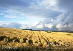 Коррупцию на рынке земли хотят ликвидировать