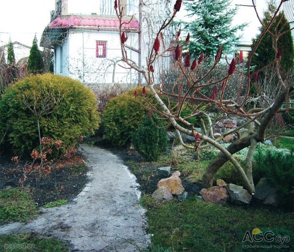 Сад зимой (Фото: Елена Гнездилова)