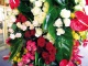 Сажать розы следует весной, желательно при температуре от 0°С до +7°С (Фото: Валентина Москотина)