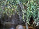 Улитка со струйным фонтанчиком вместо “усиков” в большом природном водоеме создает полноценную картину водного ландшафта. Идеально подобрано даже размещение— на ковре из роскошных листьев нимфеи.
