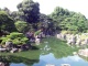 Классический японский сад. Водопад скрыт в тени деревьев (Фото: А. Прима)