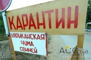 В целях санитарии Россия отказалась от украинской свинины