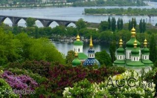 Работы по озеленению Киева продолжаются