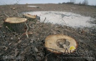 В заповедной зоне Старокиевской горы незаконно вырубили деревья