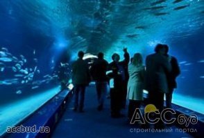 Руководство киевского зоопарка отрицает  строительство океанариума