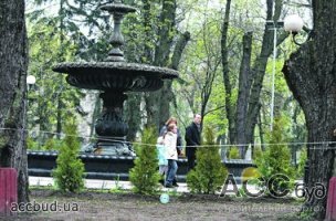 Центр Киева озеленят туями