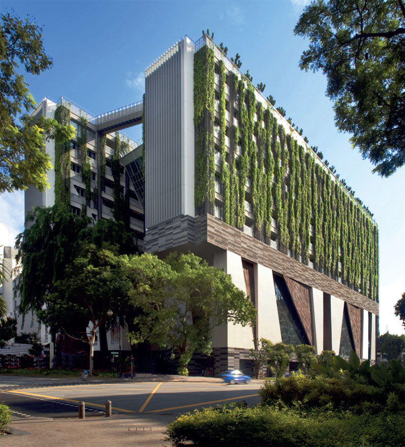 Здание школы искусств в Сингапуре бюро WOHA – победитель фестиваля в категории «учебные заведения» (Фото: Patrick Bingham-Hall)