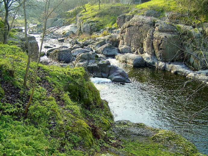 Камни и вода – идеальная композиция для парка и сада