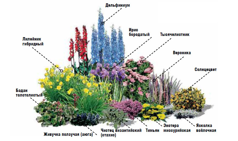 Цветы С Весны До Осени Фото