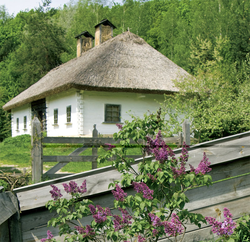 Особенность украинского сада — множество ярких цветов и кустарников у самого дома