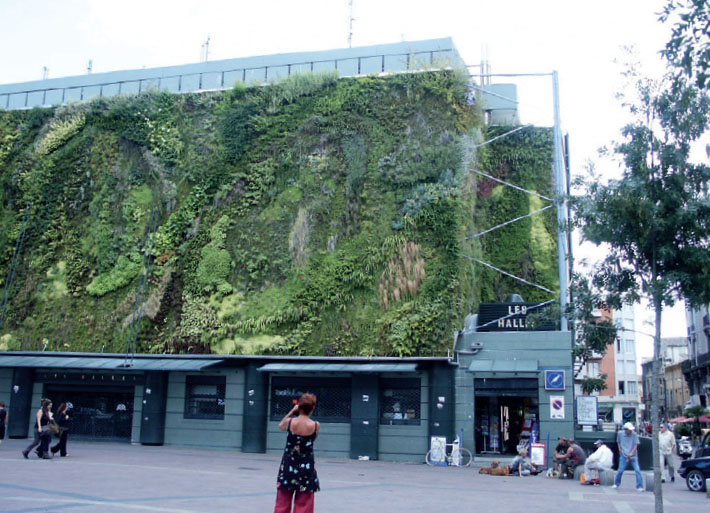 Растения на фасаде торгового центра
