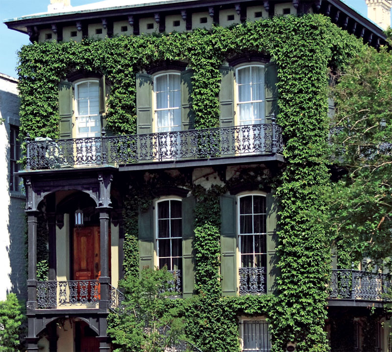 The vertical gardens of Patrick Blanca in Paris, how to do. Styles Landscape АССбуд - building portal