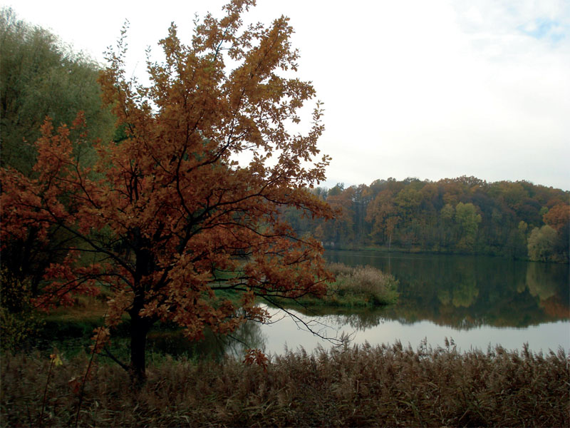 Парк разбит на правом берегу реки Мерчик