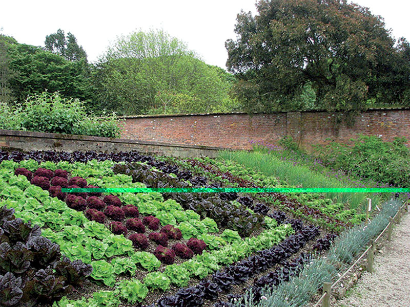 Оформление сада и огорода своими руками: идеи и фото